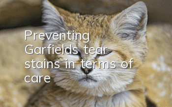 Preventing Garfield’s tear stains in terms of care