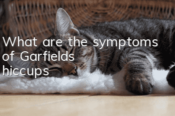 What are the symptoms of Garfield's hiccups?