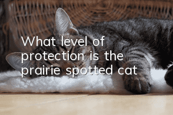 What level of protection is the prairie spotted cat?