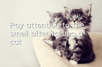 Pay attention to the smell after raising a cat