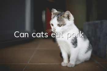 Can cats eat pork?
