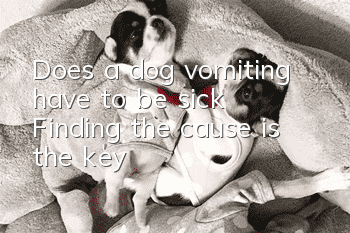 Does a dog vomiting have to be sick? Finding the cause is the key!