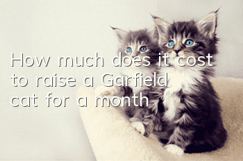 How much does it cost to raise a Garfield cat for a month?