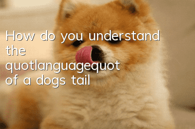 How do you understand the "language" of a dog's tail?