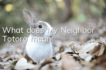 What does My Neighbor Totoro mean?