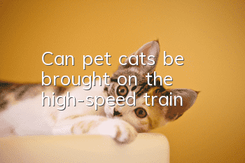 Can pet cats be brought on the high-speed train?