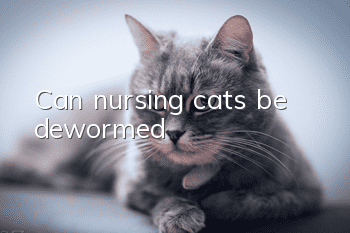 Can nursing cats be dewormed?
