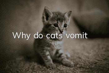 Why do cats vomit?