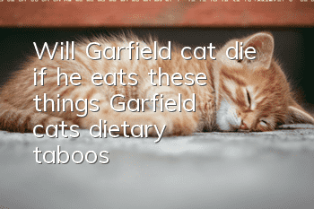 Will Garfield cat die if he eats these things? Garfield cat’s dietary taboos!