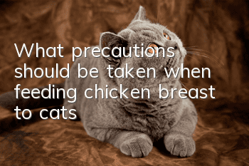 What precautions should be taken when feeding chicken breast to cats?