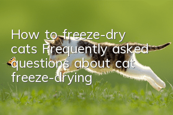 How to freeze-dry cats? Frequently asked questions about cat freeze-drying