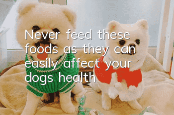 Never feed these foods, as they can easily affect your dog’s health!