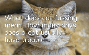 What does cat fussing mean? How many days does a cat usually have trouble?