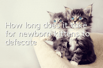 How long does it take for newborn kittens to defecate?