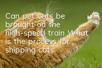 Can pet cats be brought on the high-speed train? What is the process for shipping cats?