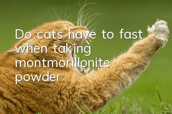 Do cats have to fast when taking montmorillonite powder?