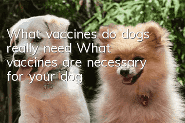 What vaccines do dogs really need? What vaccines are necessary for your dog?