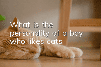 What is the personality of a boy who likes cats?