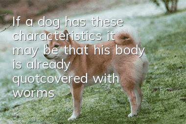 If a dog has these characteristics, it may be that his body is already "covered with worms"