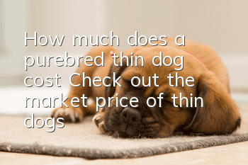 How much does a purebred thin dog cost? Check out the market price of thin dogs!