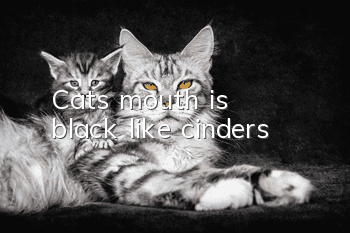 Cat's mouth is black like cinders