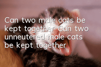 Can two male cats be kept together? Can two unneutered male cats be kept together?