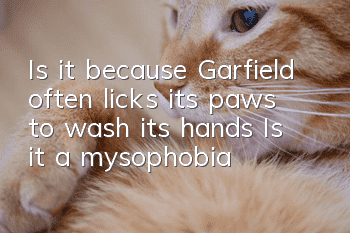 Is it because Garfield often licks its paws to wash its hands? Is it a mysophobia?