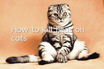 How to kill fleas on cats?