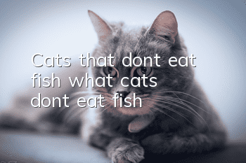 Cats that don’t eat fish (what cats don’t eat fish)