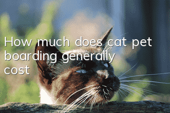 How much does cat pet boarding generally cost?