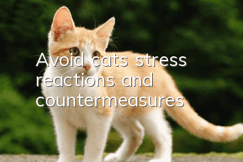 Avoid cats’ stress reactions and countermeasures!