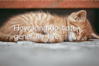 How long do cats generally live?
