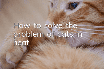 How to solve the problem of cats in heat?