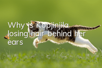 Why is Kopjinjila losing hair behind her ears?