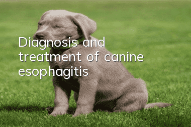 Diagnosis and treatment of canine esophagitis