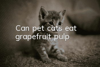 Can pet cats eat grapefruit pulp?
