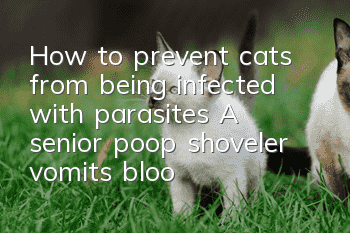 How to prevent cats from being infected with parasites? A senior poop shoveler vomits blood and sorts it out!