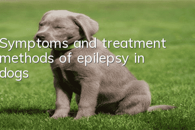 Symptoms and treatment methods of epilepsy in dogs