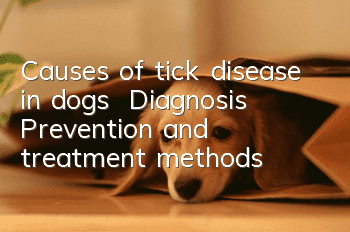 Causes of tick disease in dogs | Diagnosis | Prevention and treatment methods