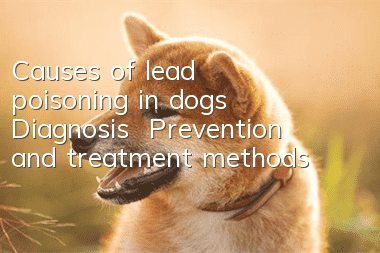Causes of lead poisoning in dogs | Diagnosis | Prevention and treatment methods