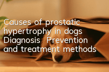 Causes of prostatic hypertrophy in dogs | Diagnosis | Prevention and treatment methods