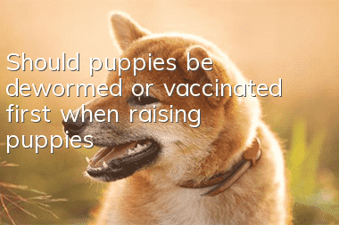 Should puppies be dewormed or vaccinated first when raising puppies?