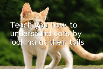 Teach you how to understand cats by looking at their tails