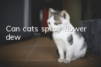 Can cats spray flower dew?
