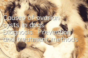 Causes of ovarian cysts in dogs | Diagnosis | Prevention and treatment methods