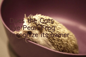 Does the Cat's Eye Pearl Frog recognize its owner?