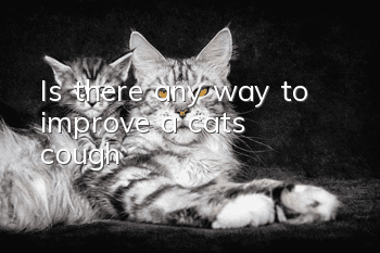 Is there any way to improve a cat’s cough?