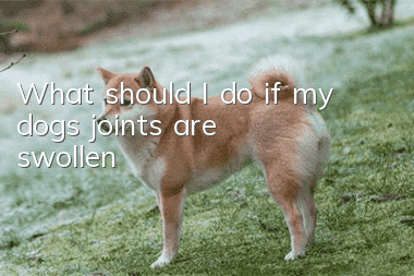 What should I do if my dog’s joints are swollen?